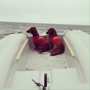 Meet your Posher, Karen